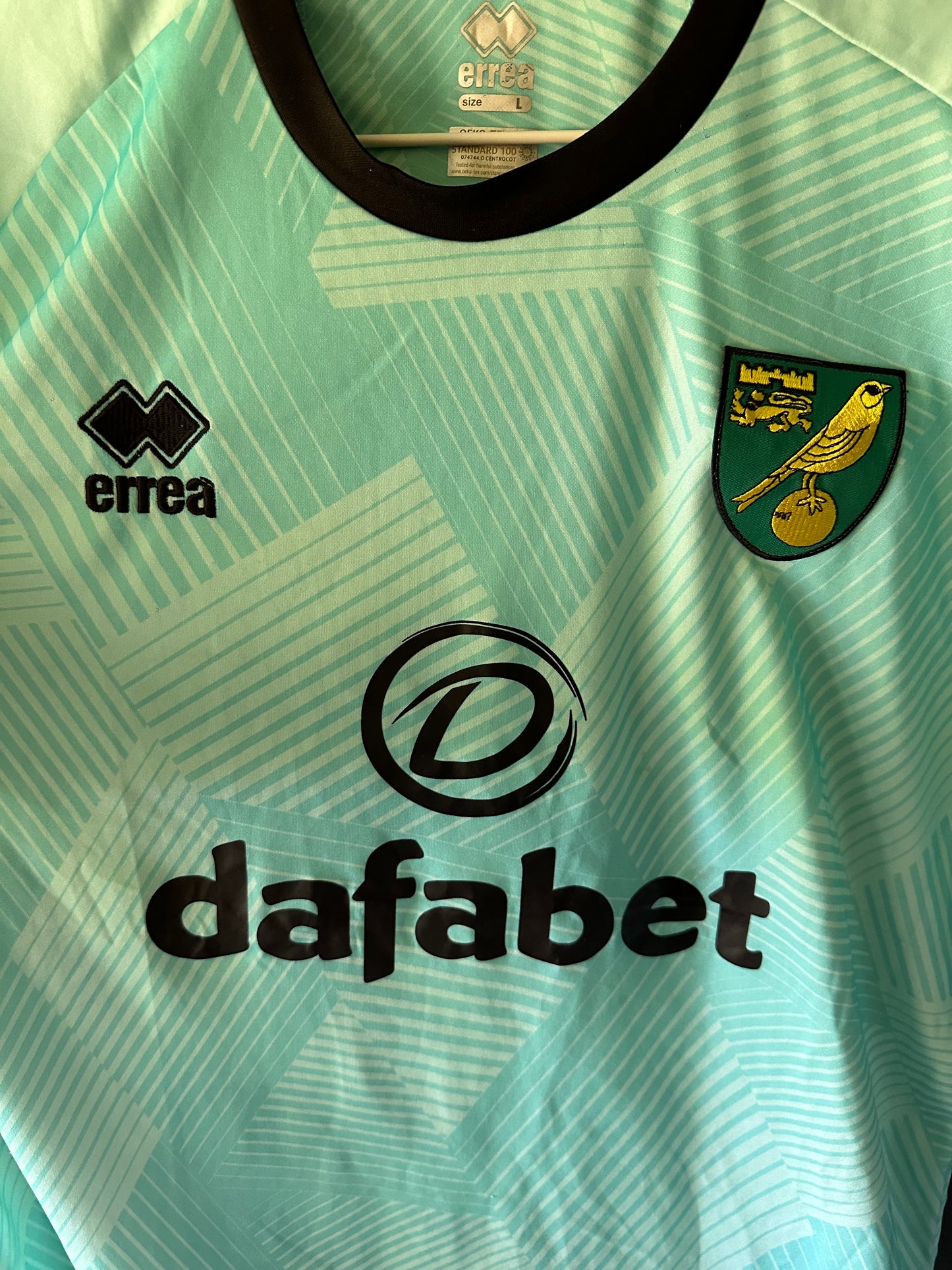 Norwich 2020/21 - Nyland