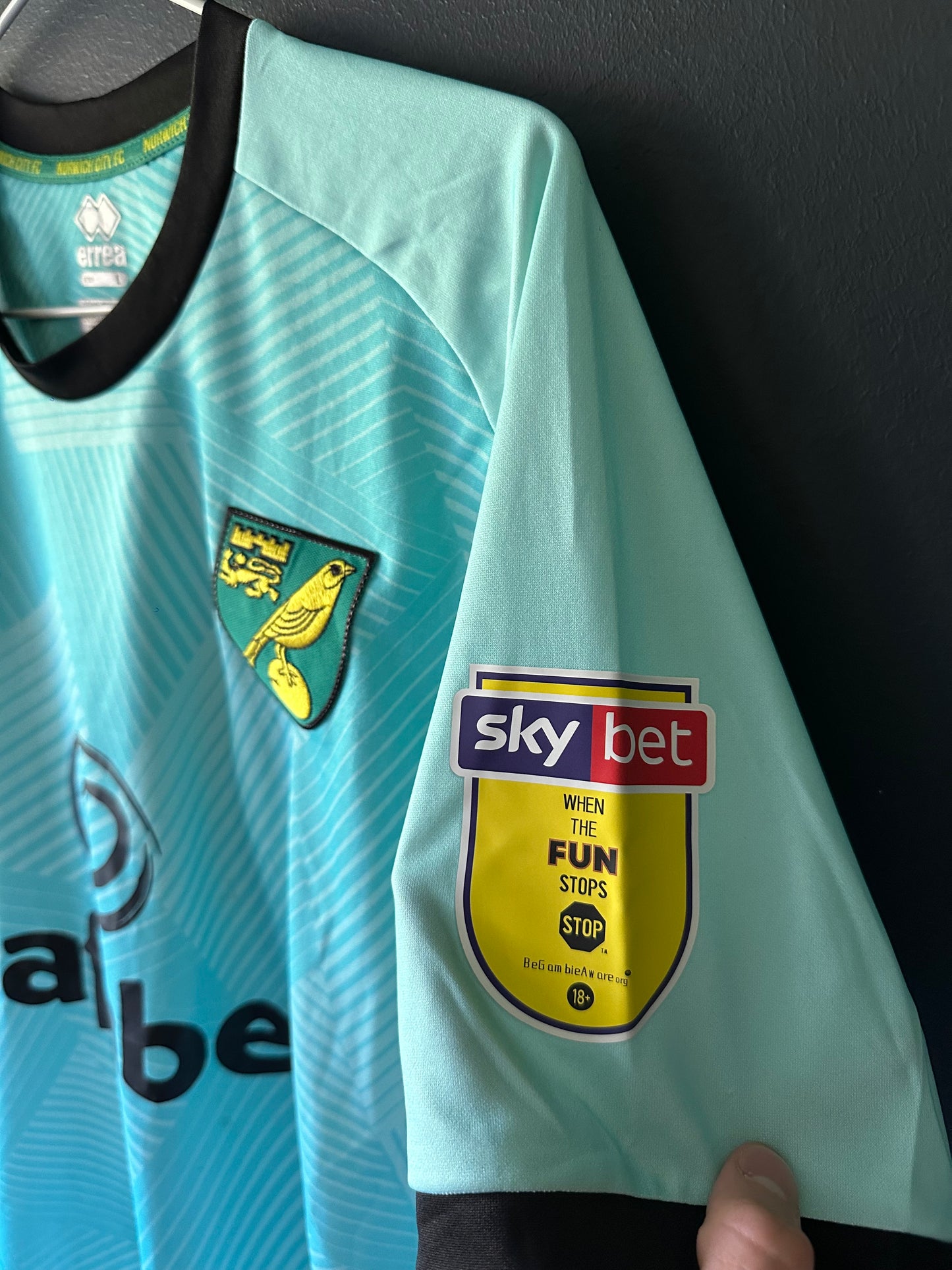 Norwich 2020/21 - Nyland